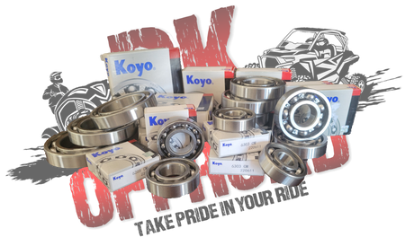 Koyo Rzr transmission bearing kit